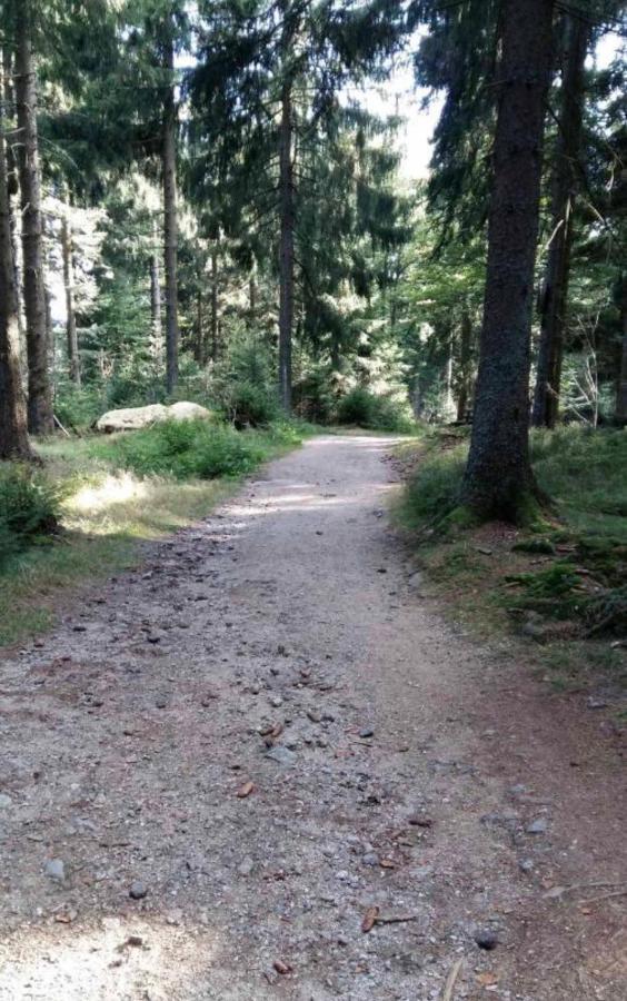 Ferienwohnung Bergerlebnis Natur pur Sankt Englmar Exterior foto